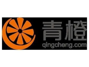 上海青橙實(shí)業(yè)與上海實(shí)業(yè) 探究企業(yè)名稱背后的戰(zhàn)略定位與市場(chǎng)角色